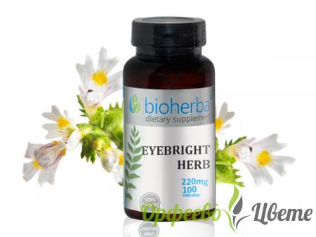ХРАНИТЕЛНИ ДОБАВКИ Очи, нос, уши Очанка 220 мг, 100 капсули Eyebright herb